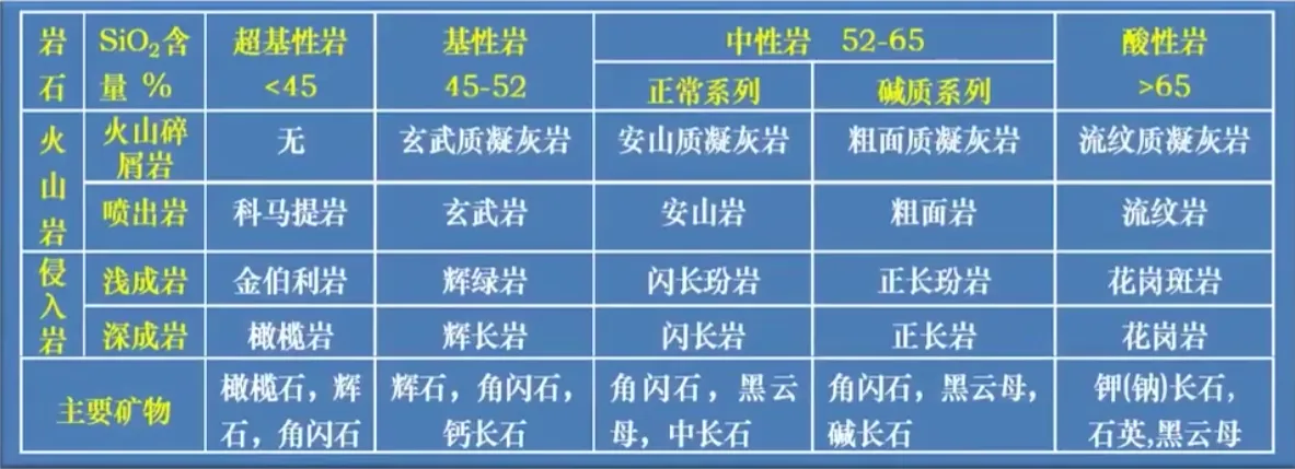 多样性